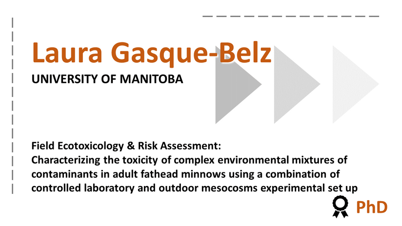 Characterizing the toxicity of complex environmental mixtures of contaminants in adult fathead minnows using a combination of controlled laboratory and outdoor mesocosms experimental set ups